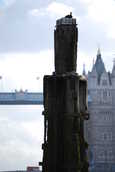 Cormorant+TowerBridge.JPG