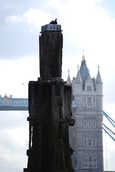 CormorantOverlookingTowerBridge.JPG